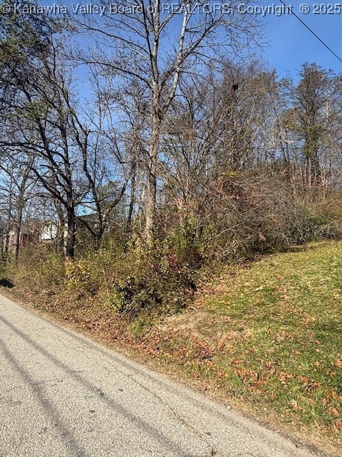 0 Kay Neva Ln, Charleston, WV 25312 - photo 4