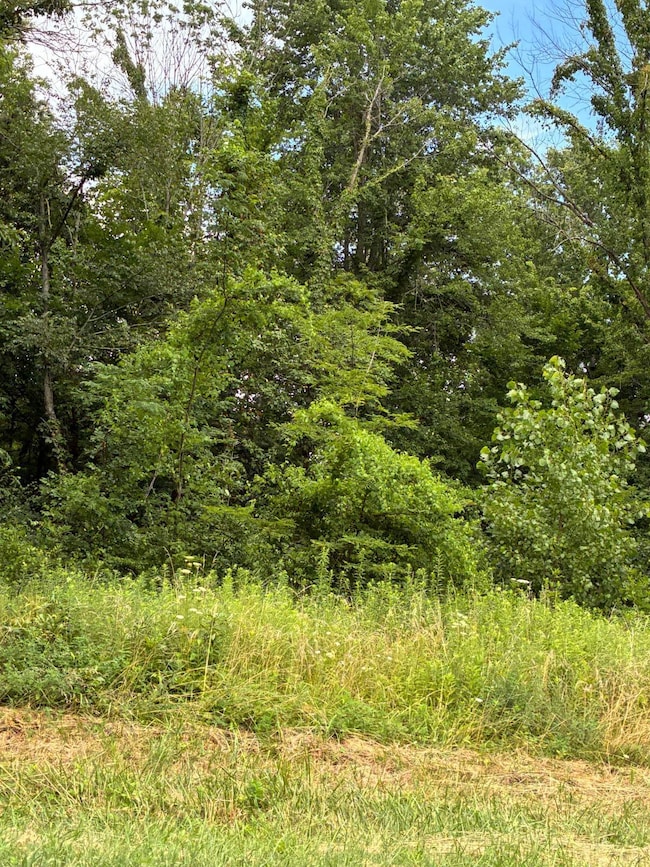 000 Petrolia Ln, Bridgeport, IL 62417 - photo 6