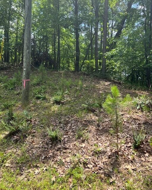 133 Adair Dr, Ranger, GA 30734 - photo 7