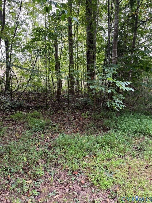 0027 Aspen Grove Rd, Buckingham, VA 23901 - photo 2