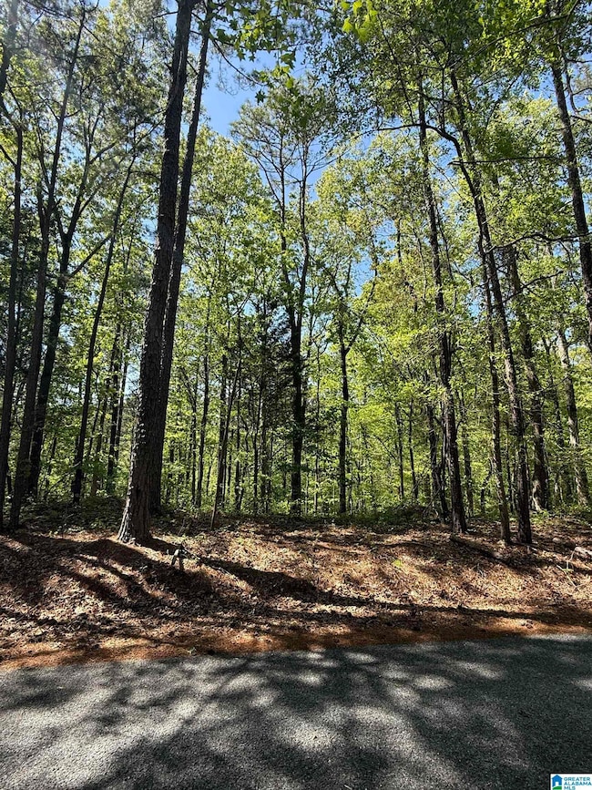 0 Vick Ln unit 21416150, Sylacauga, AL 35151 - photo 4