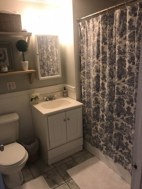 42 Haven St unit St, Boston, MA 02118 - photo 7