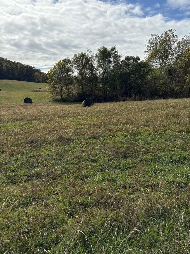 Pine Grove Ch Rd, Vanceburg, KY 41179 - photo 5