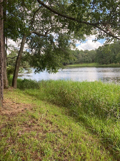 2534 Blue Lake Dr, Magnolia, TX 77354 - photo 3