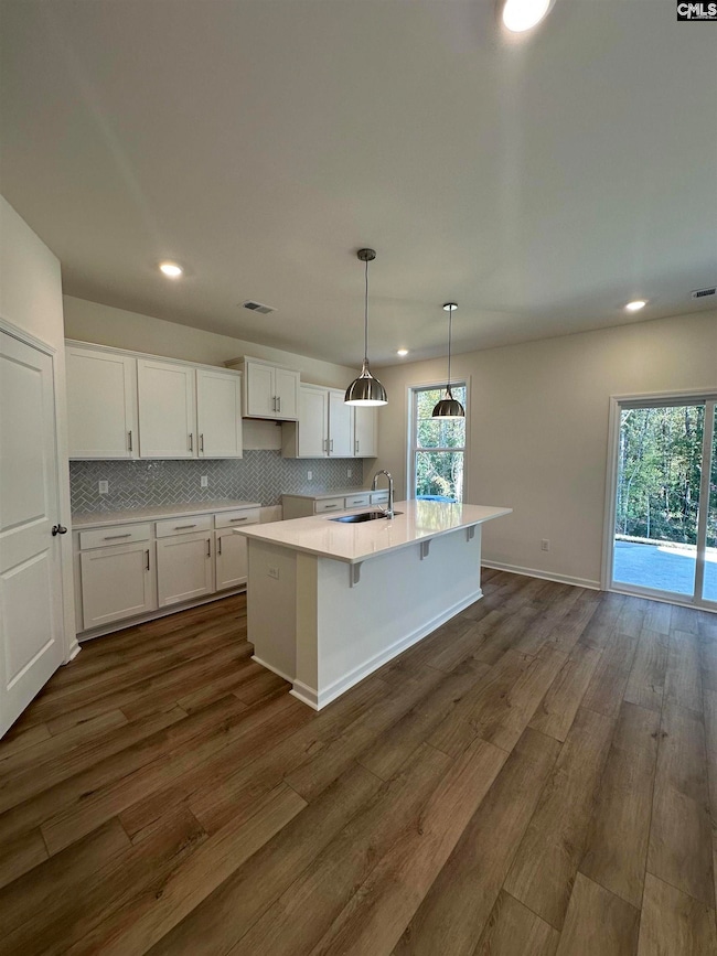 530 Griffon Dr, Chapin, SC 29036 - photo 4