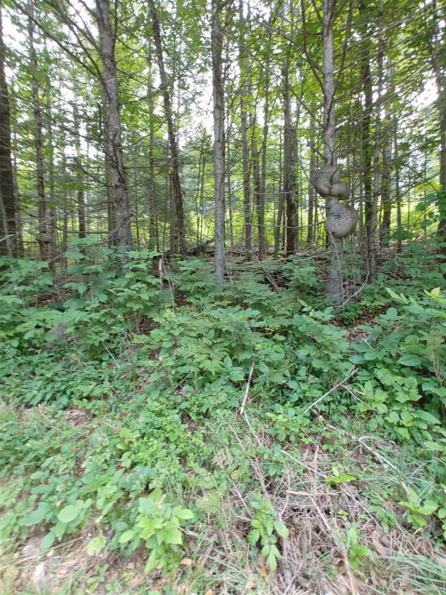 0 U S 302 unit 4873749, East Corinth, VT 05076 - photo 3