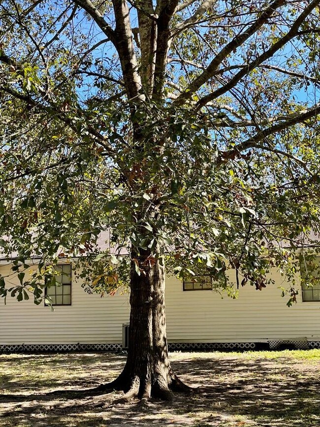 319 Bay St, Picayune, MS 39466 - photo 5