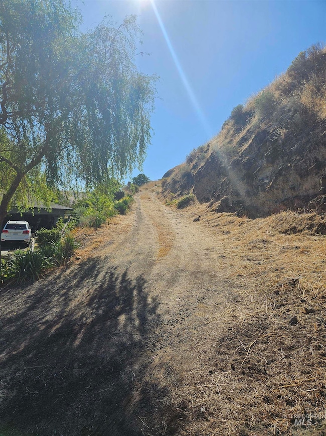 TBD Garfield St, Asotin, WA 99402 - photo 3