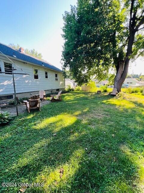Back yard