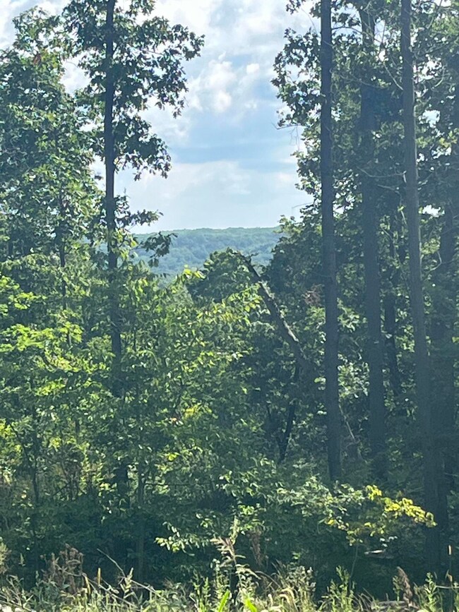 12905 Triple Oak, Lowell, MI 49331 - photo 4