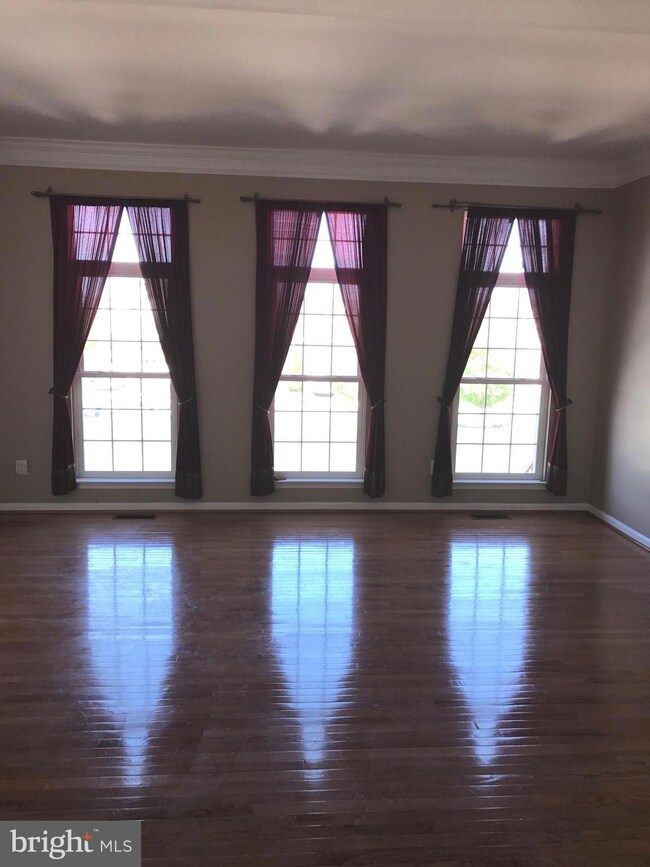 42695 Newcomer Terrace, Chantilly, VA 20152 - photo 3