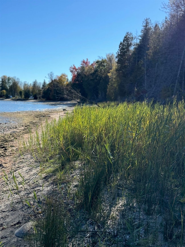 0 E State Highway M35, Menominee, MI 49858 - photo 4