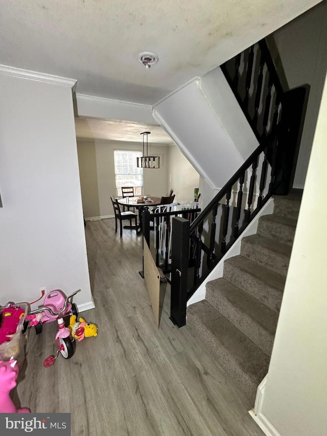 14 James Cubberly Ct, Trenton, NJ 08610 - photo 2