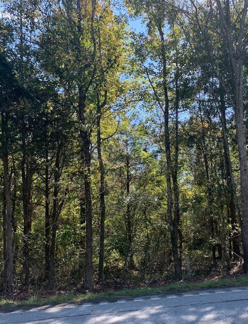 0 Highway 76 unit 121989, Honea Path, SC 29657 - photo 2