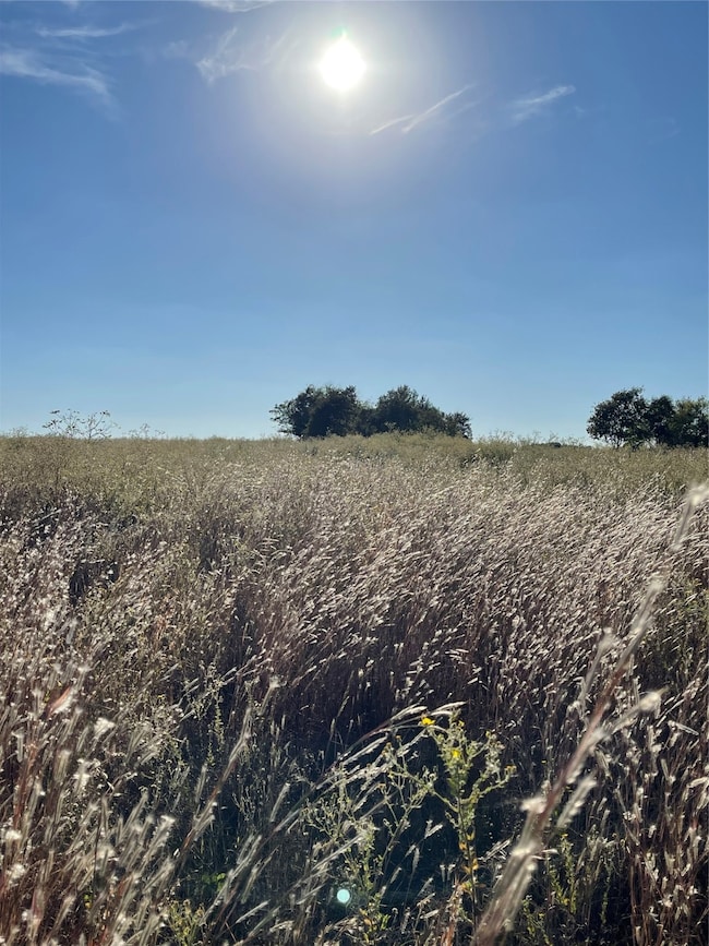 935 Vz County Road 3201, Wills Point, TX 75169 - photo 2