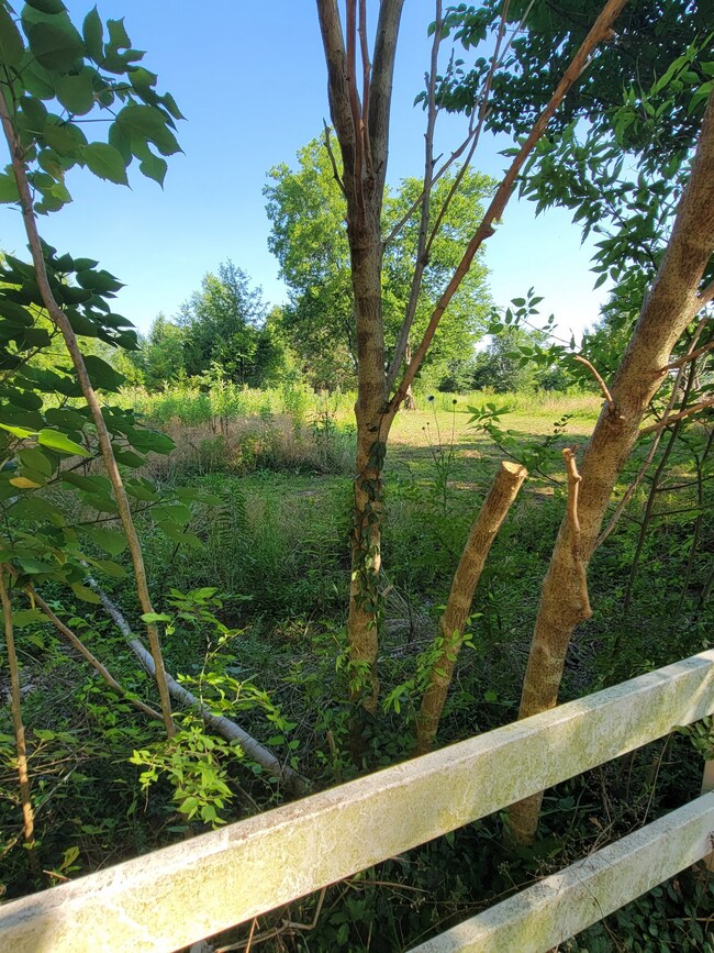 1510 Highway 82 S, Shelbyville, TN 37160 - photo 6