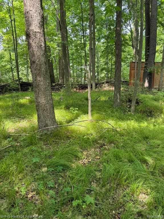 5550 Fisher Rd, Oceola Township, MI 48855 - photo 7