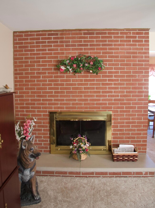 Living Room fireplace
