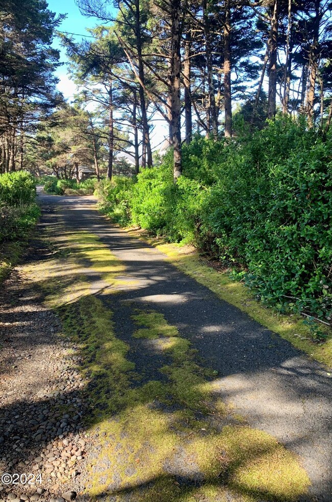 Street View Pines