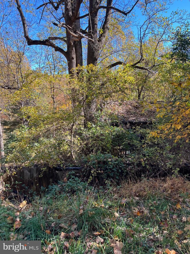 120 Snowbird Ct, Front Royal, VA 22630 - photo 4