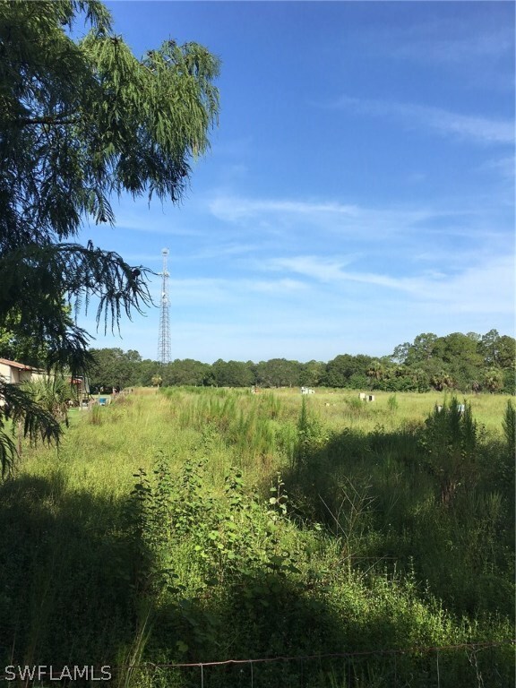 3320 Packinghouse Rd, Alva, FL 33920 - photo 4