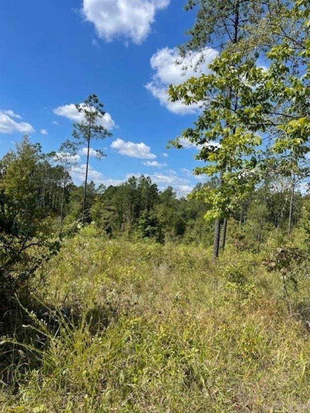 Lot 1AR Highway 298, Benton, AR 72019 - photo 2