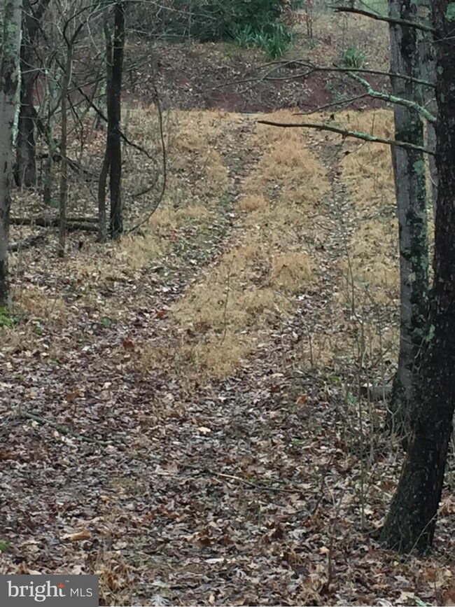 0 Virginia Line Rd unit 1001180349, Berkeley Springs, WV 25411 - photo 7