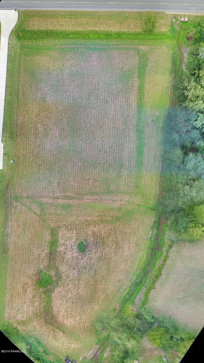 404 Hwy 1252, Carencro, LA 70520 - photo 3