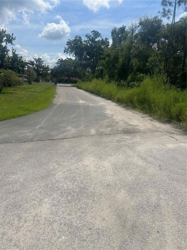 0 W Herrick Ave unit MFRG5104849, Eustis, FL 32726 - photo 4