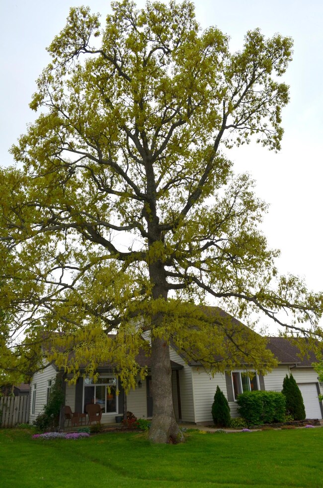 DSC_0230 - Copy - Copy