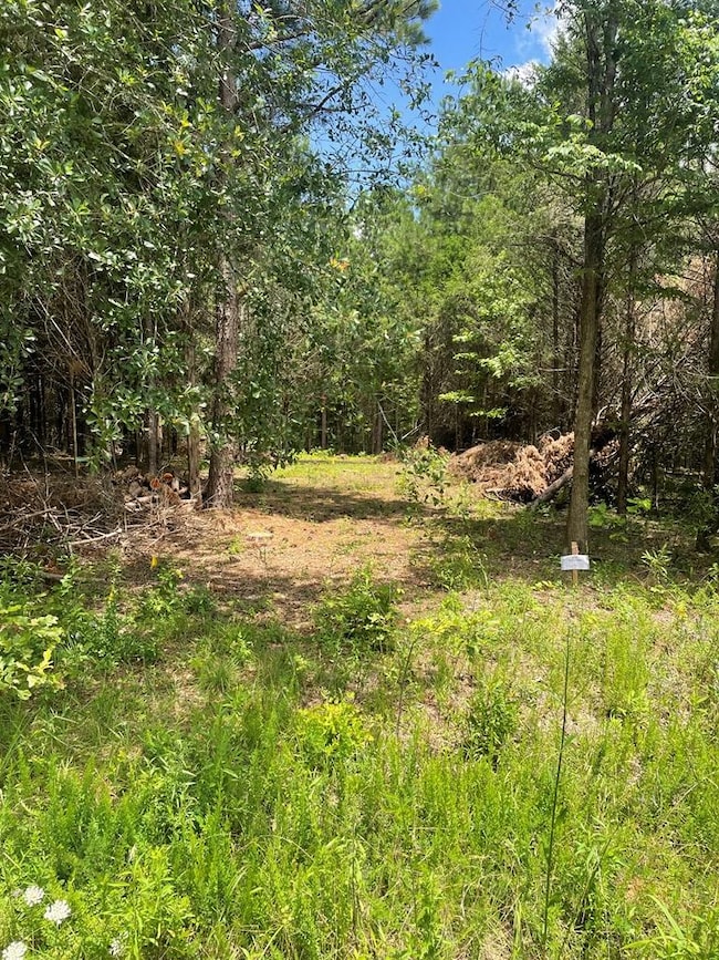 96 Deacon Rd, Calhoun Falls, SC 29628 - photo 3