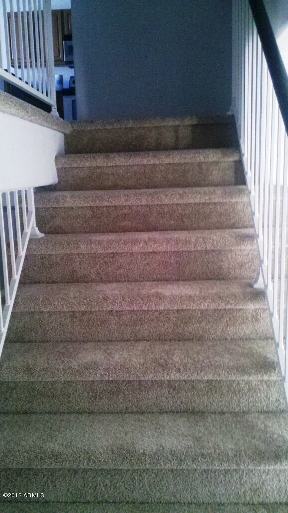 Scott stairs