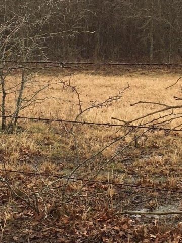 TBD Cr 1316, Malakoff, TX 75148 - photo 5