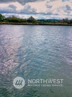 20 Monohon Landing Rd, Raymond, WA 98577 - photo 5