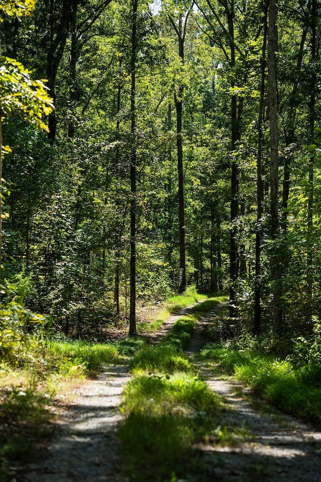 1 Pinewood Rd, Franklin, TN 37064 - photo 4