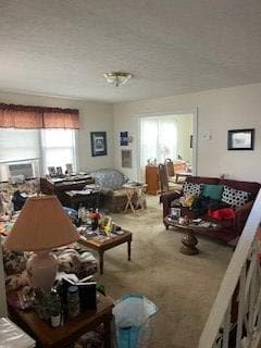 117 Macon St, Danville, VA 24540 - photo 3