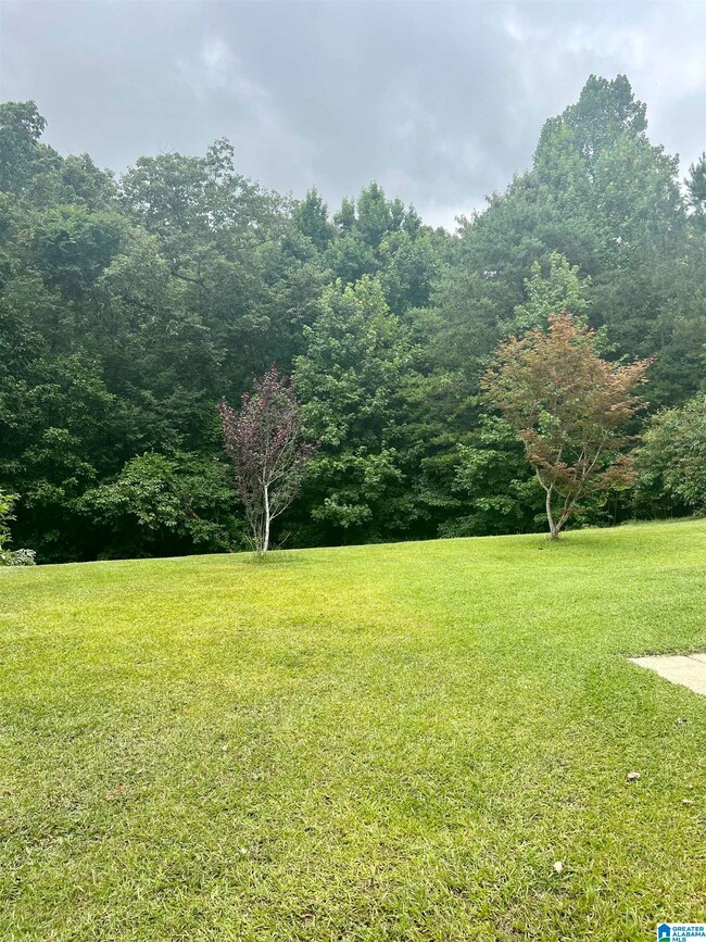 163 Kingbird Ln, Remlap, AL 35133 - photo 6