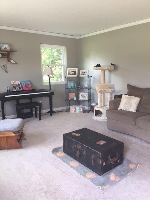 54523 Timothy Rd, New Carlisle, IN 46552 - photo 5