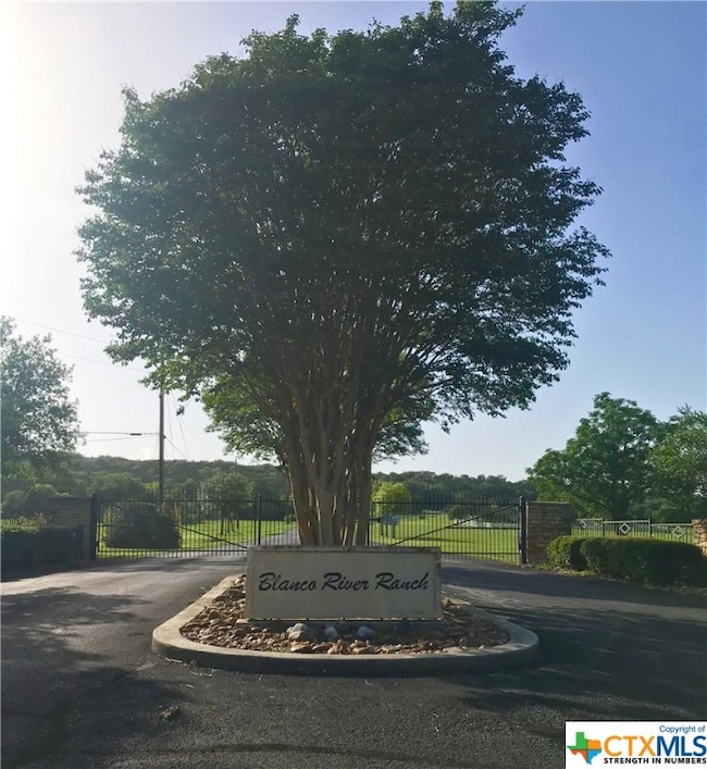 420 Blanco River Ranch Rd, San Marcos, TX 78666 - photo 6