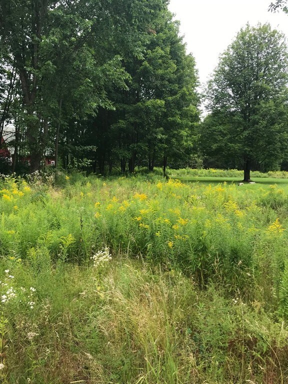 C23b23c,24 Williamsville Rd, Barre, MA 01005 - photo 4