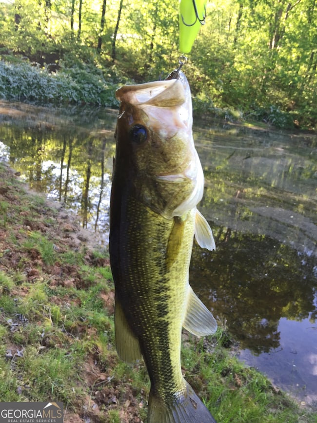 508 Millertown Rd, Temple, GA 30179 - photo 3