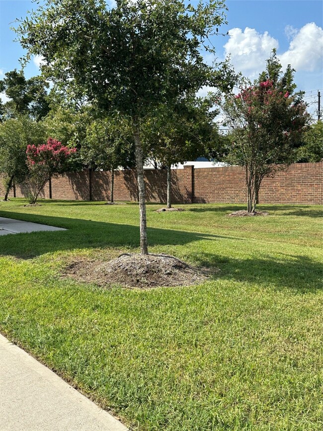 3801 Lancer Cir, Pearland, TX 77581 - photo 5