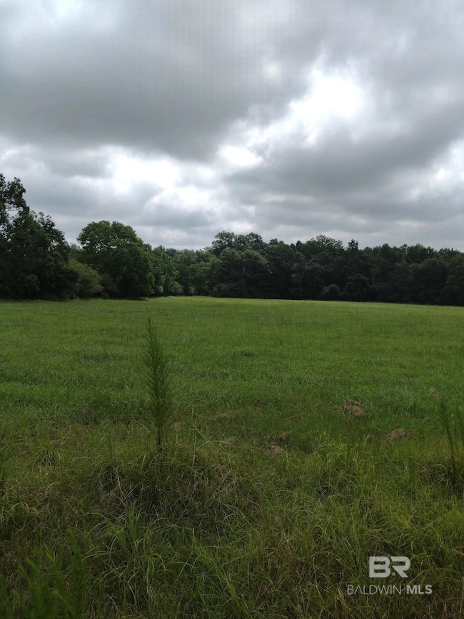 22200 Gap Weekly Rd, Perdido, AL 36562 - photo 4