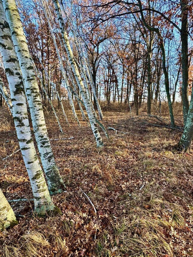 26XXX 175th Ave, Fort Ripley, MN 56449 - photo 7