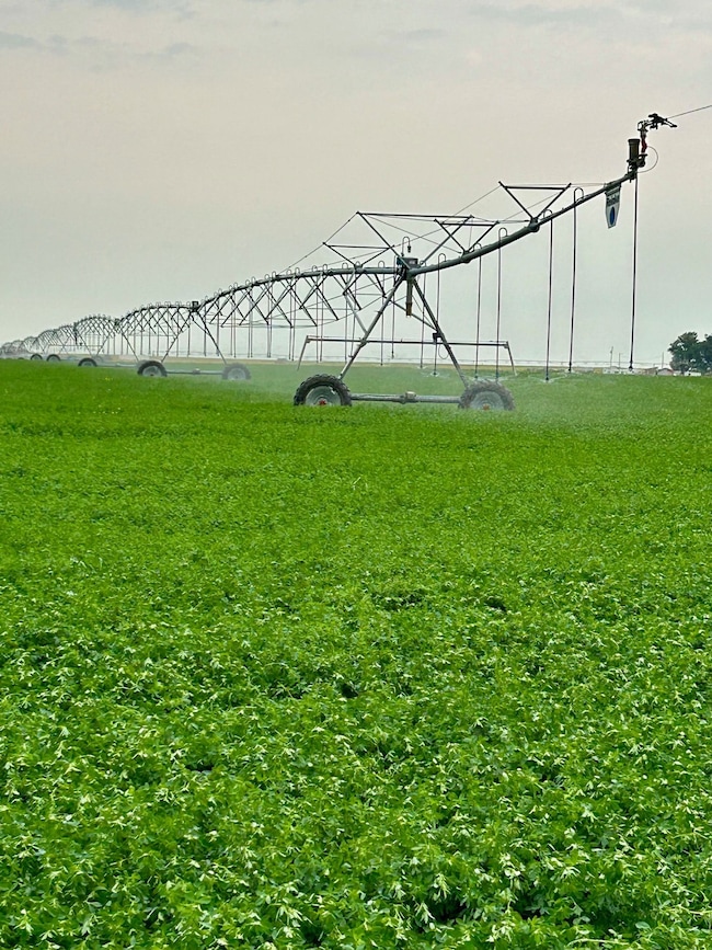 Nhn 1st Rd S, Fort Shaw, MT 59443 - photo 2