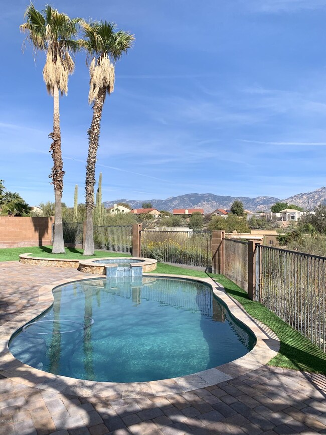 Great Backyard copy