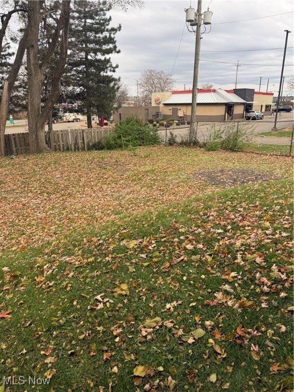 1729 Gambrinus Ave SW, Canton, OH 44706 - photo 5