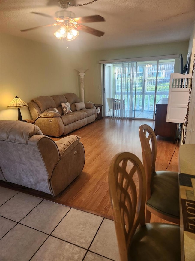 Green Dolphin Park unit 506, Tarpon Springs, FL 34689 - photo 4