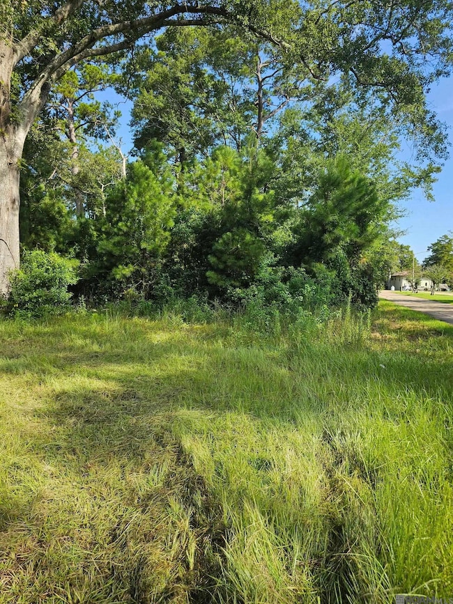 TBD Ratcliff Blvd, Killian, LA 70462 - photo 4