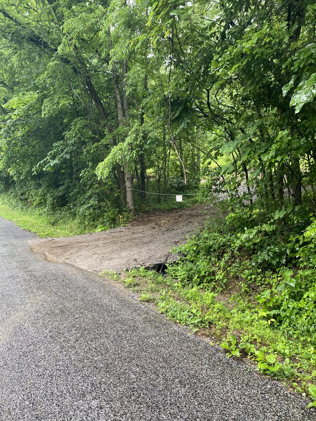 1300 Black Rd, Prospect, TN 38477 - photo 2